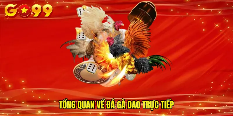 Tổng quan về đá gà dao trực tiếp