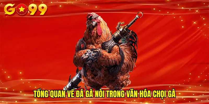 Tổng quan về đá gà nòi trong văn hóa chọi gà